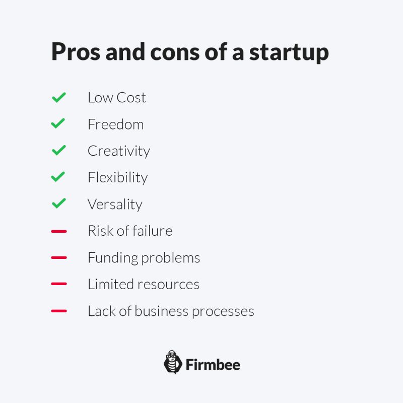 Wady i zalety założenia start-upu