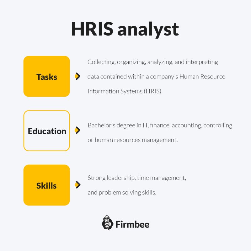 infografika analityk HRIS