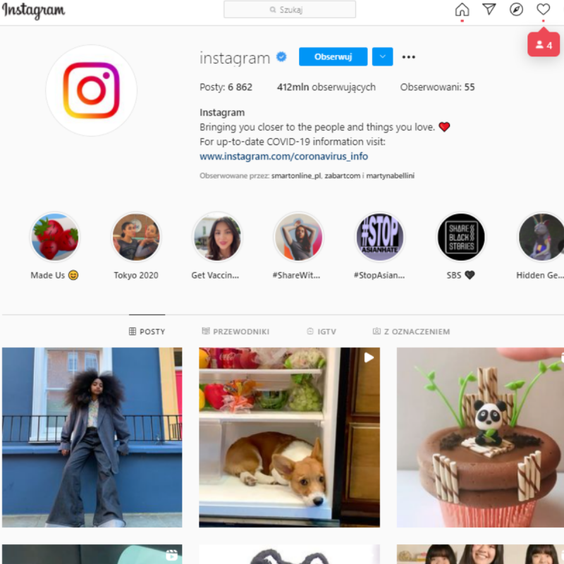 instagram example screenshot